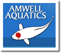 Amwell Aquatics